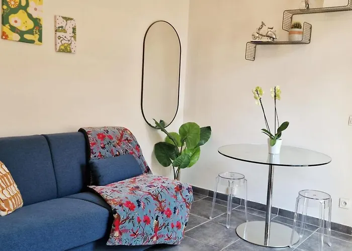 Le Cocon Nicois Au Coeur De La - Clim Nice
